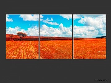 main_SPR-0D193041-seg3-1